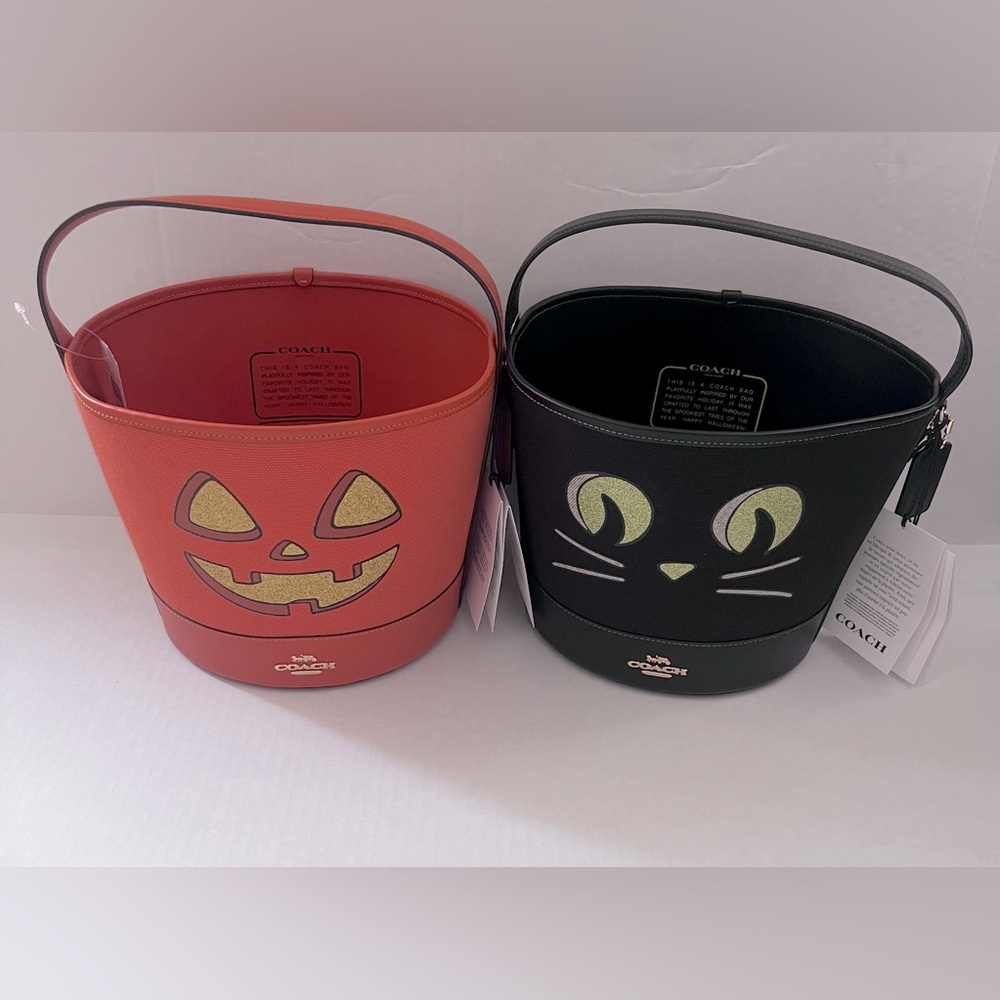 Last one! New Coach - Trick Or Treat Buckets With Halloween Pumpkin and cat - Picture 2 of 14